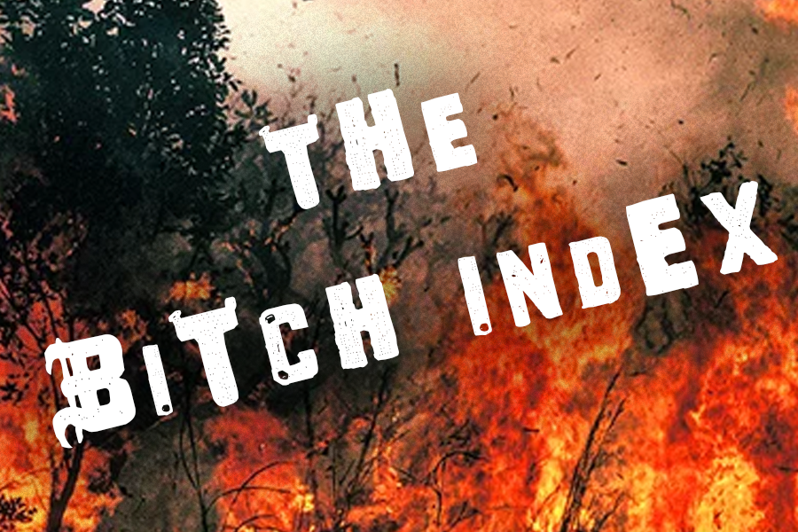 bitch index